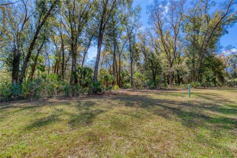 Land in Port Orange, Florida № 2233131 - photo 8