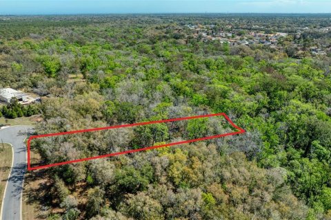 Land in Port Orange, Florida № 2233131