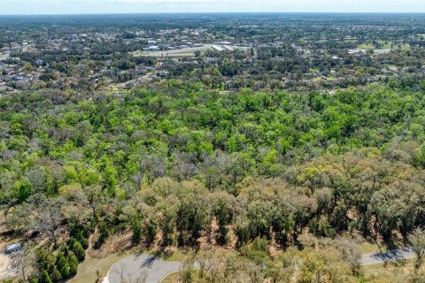 Land in Port Orange, Florida № 2233131 - photo 12