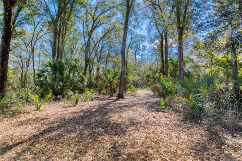 Land in Port Orange, Florida № 2233131 - photo 7