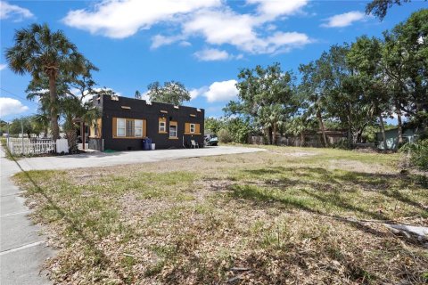 Land in Tampa, Florida № 1669886 - photo 16