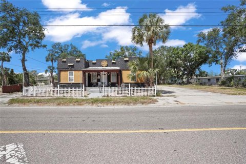 Land in Tampa, Florida № 1669886 - photo 1