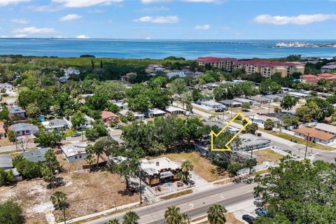 Land in Tampa, Florida № 1669886 - photo 7