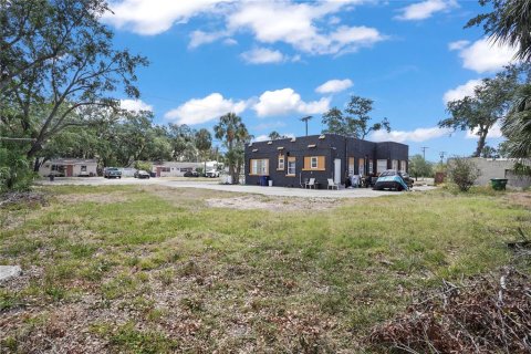Land in Tampa, Florida № 1669886 - photo 15