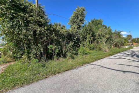 Land in Englewood, Florida № 886668 - photo 11