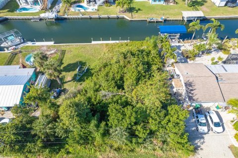 Land in Englewood, Florida № 886668 - photo 10