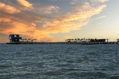 Condo in Saint Petersburg, Florida, 2 bedrooms  № 2388257 - photo 28