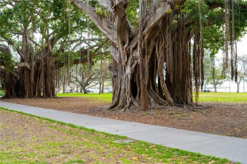 Condo in Saint Petersburg, Florida, 2 bedrooms  № 2388257 - photo 27