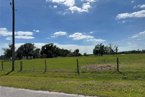 House in Sarasota, Florida 4 bedrooms, 222.13 sq.m. № 1111567 - photo 10