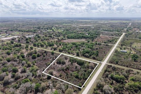 Terrain à Okeechobee, Floride № 2145140