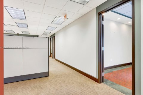 Купить коммерческую недвижимость в Корал-Гейблс, Флорида № 2035328 - фото 9