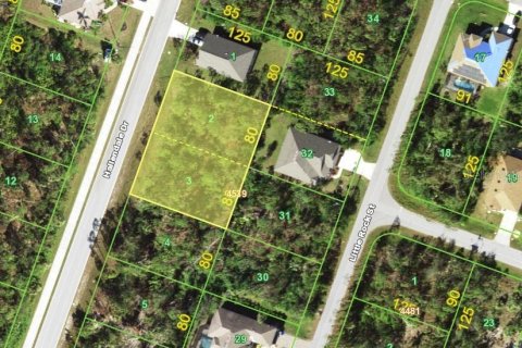 Land in Port Charlotte, Florida № 2206112 - photo 5