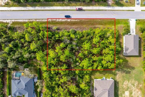 Land in Port Charlotte, Florida № 2206112 - photo 3