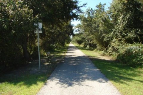 Land in Port Charlotte, Florida № 2206112 - photo 11
