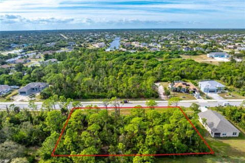 Land in Port Charlotte, Florida № 2206112 - photo 4