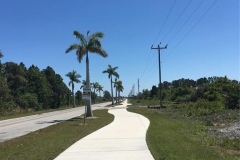 Land in Port Charlotte, Florida № 2206112 - photo 10