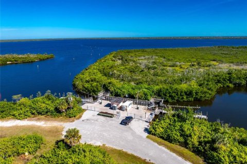 Land in Port Charlotte, Florida № 2206112 - photo 13