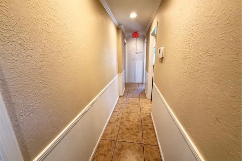 Propiedad comercial en alquiler en New Port Richey, Florida, 447.79 m2 № 1906188 - foto 7