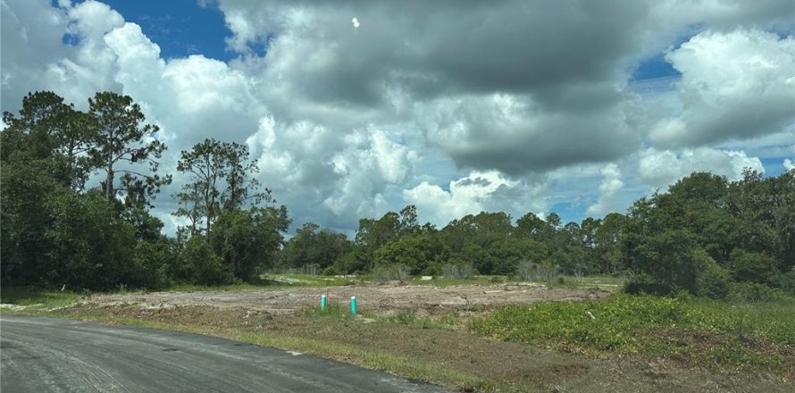 Land in Kissimmee, Florida № 1766113