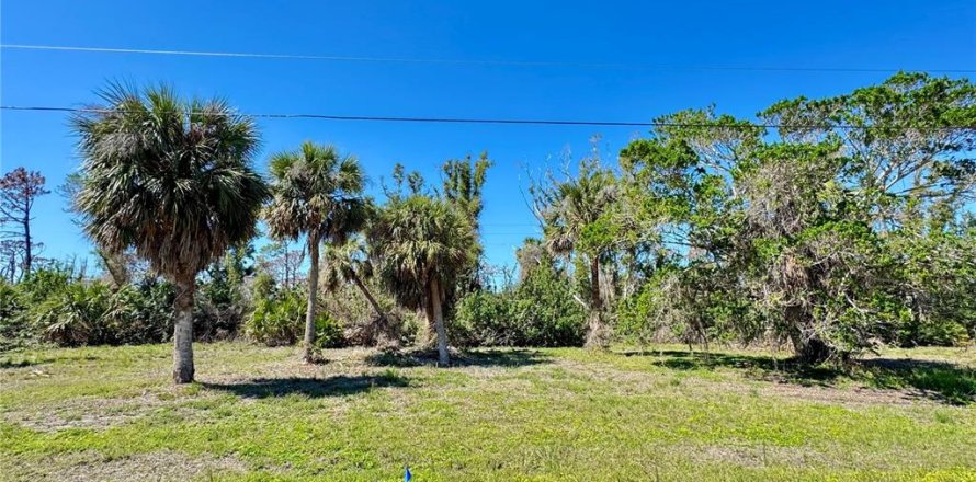 Land in Placida, Florida № 1559195