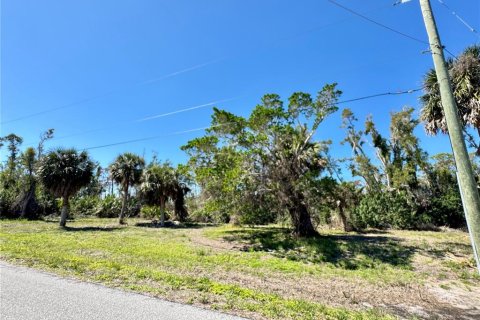 Land in Placida, Florida № 1559195 - photo 4