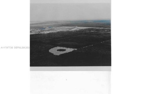 Купить коммерческую недвижимость в Флорида-Сити, Флорида № 2069383 - фото 2