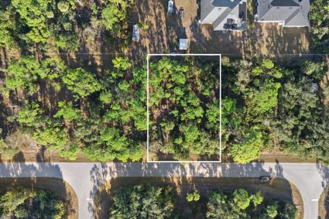 Land in Port Charlotte, Florida № 2228567 - photo 4