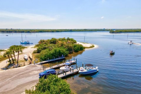 Land in Port Charlotte, Florida № 2228567 - photo 17