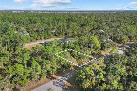 Land in Port Charlotte, Florida № 2228567 - photo 3
