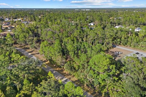 Land in Port Charlotte, Florida № 2228567 - photo 5