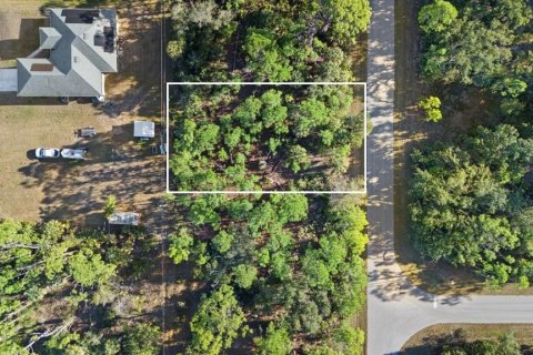 Land in Port Charlotte, Florida № 2228567 - photo 2