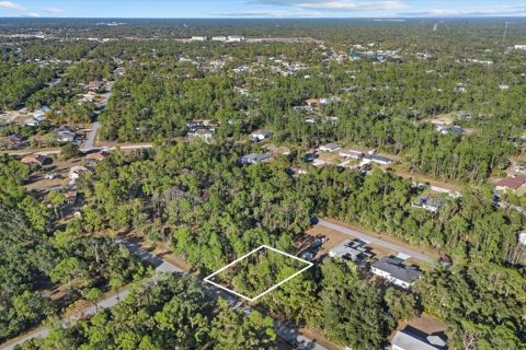 Land in Port Charlotte, Florida № 2228567 - photo 10