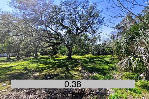 Land in Daytona Beach, Florida № 1827855 - photo 1
