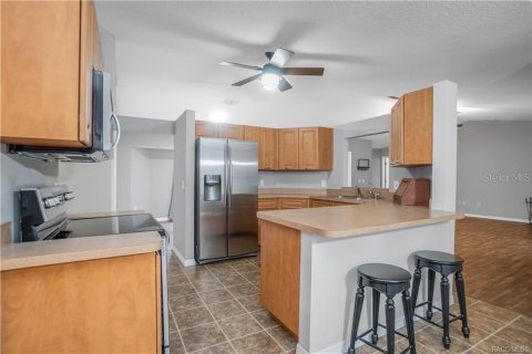 Villa ou maison à vendre à Inverness, Floride: 3 chambres, 212 m2 № 2413478 - photo 13