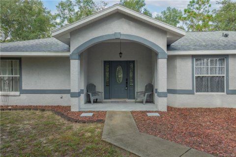 Villa ou maison à vendre à Inverness, Floride: 3 chambres, 212 m2 № 2413478 - photo 4