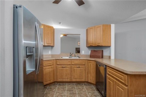 Villa ou maison à vendre à Inverness, Floride: 3 chambres, 212 m2 № 2413478 - photo 15