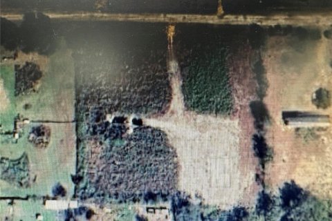 Land in Lake Wales, Florida № 1777261 - photo 5