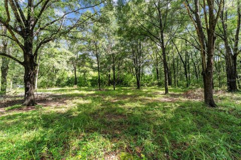 Land in Gainesville, Florida № 1832222 - photo 19