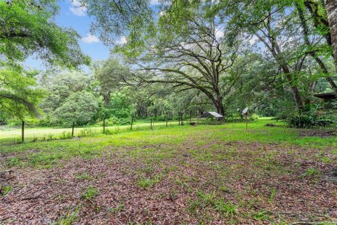 Land in Gainesville, Florida № 1832222 - photo 29