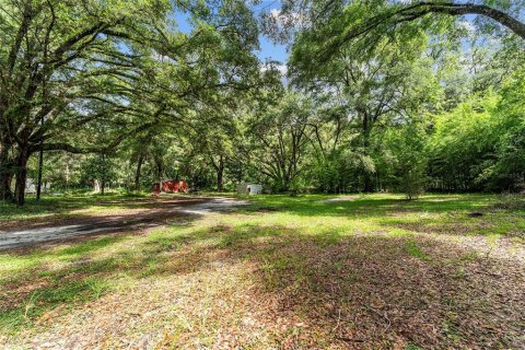 Land in Gainesville, Florida № 1832222 - photo 11