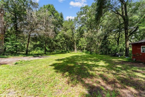Land in Gainesville, Florida № 1832222 - photo 14