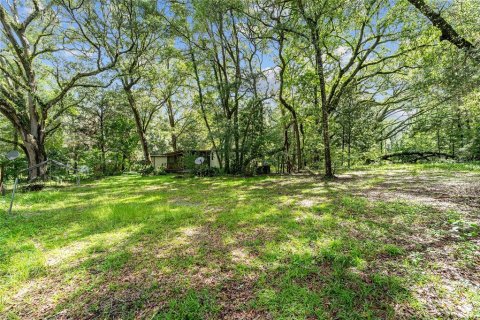 Land in Gainesville, Florida № 1832222 - photo 24