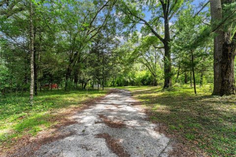 Land in Gainesville, Florida № 1832222 - photo 12
