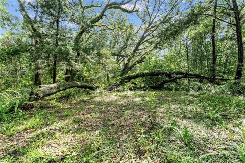 Land in Gainesville, Florida № 1832222 - photo 27