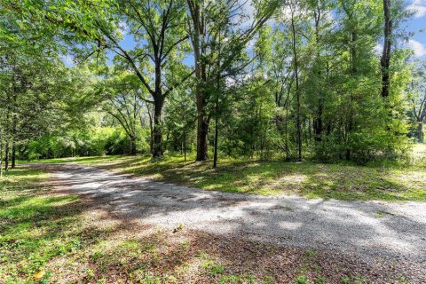 Land in Gainesville, Florida № 1832222 - photo 21