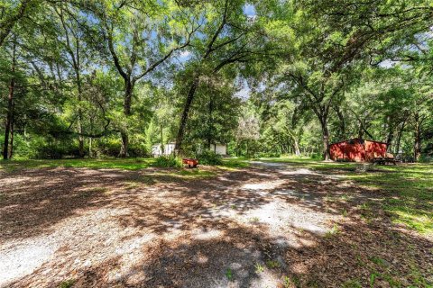 Land in Gainesville, Florida № 1832222 - photo 17