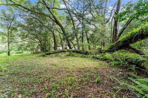 Land in Gainesville, Florida № 1832222 - photo 28