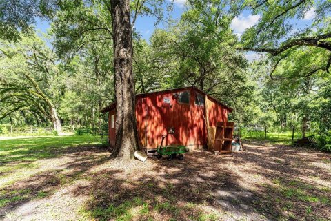 Land in Gainesville, Florida № 1832222 - photo 15