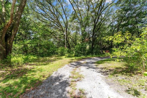 Land in Gainesville, Florida № 1832222 - photo 22