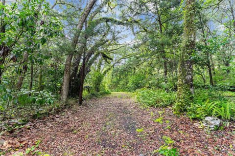 Land in Gainesville, Florida № 1832222 - photo 23